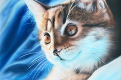 1_cat-lo