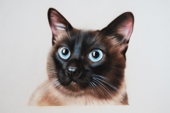 cat-lo