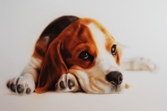 doggy-lo